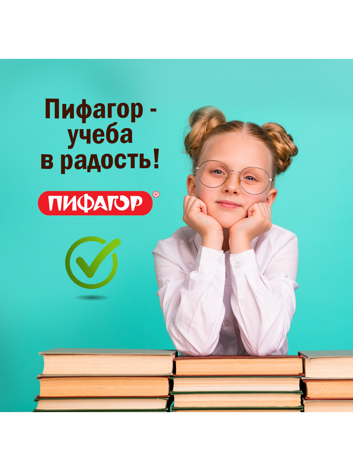 Обложка Пифагор 10 шт. - фото 6