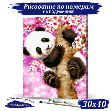 Картина по номерам Милато Панда на ветке