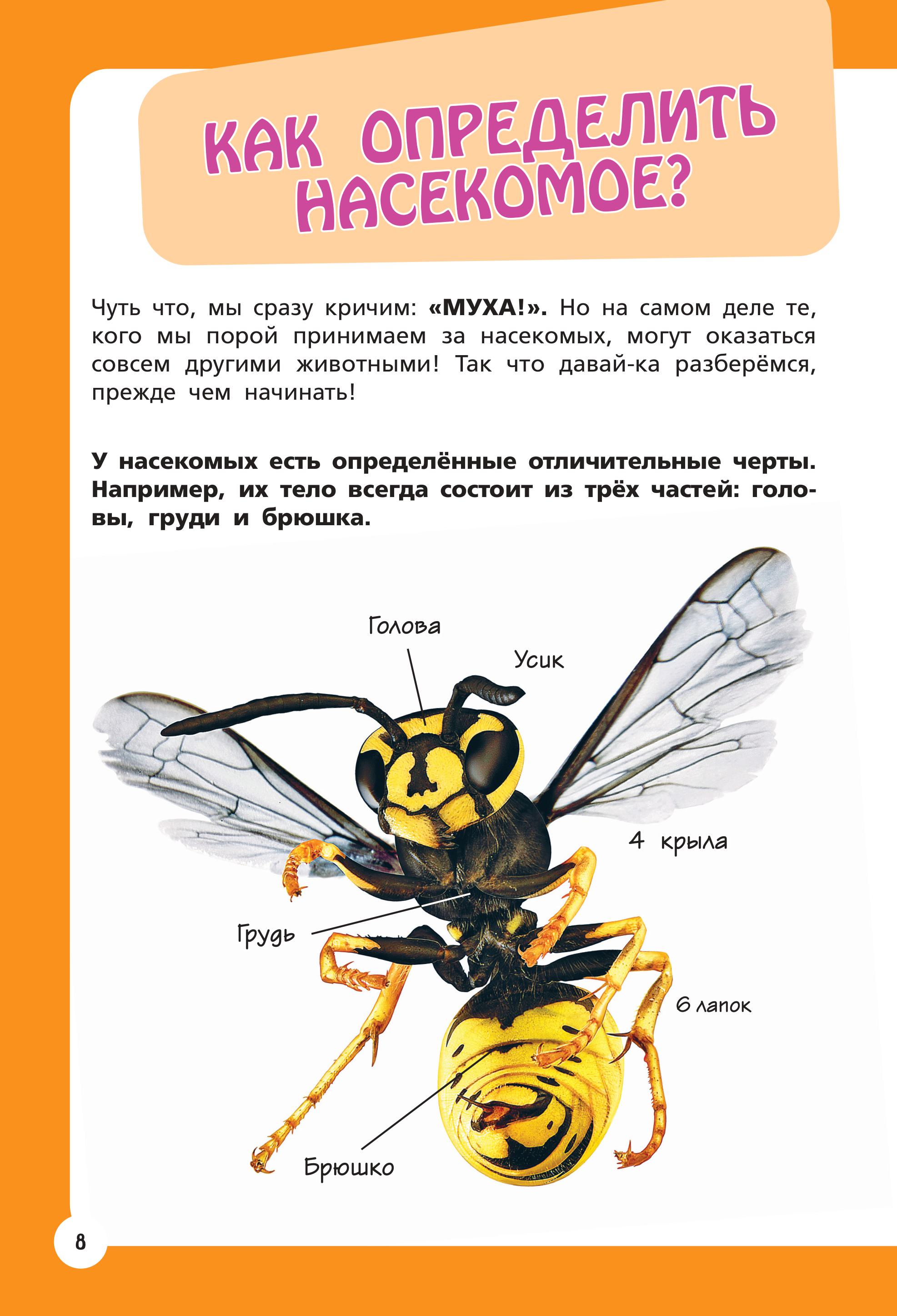 Книга Эксмо Самые необычные животные и места мира - фото 7