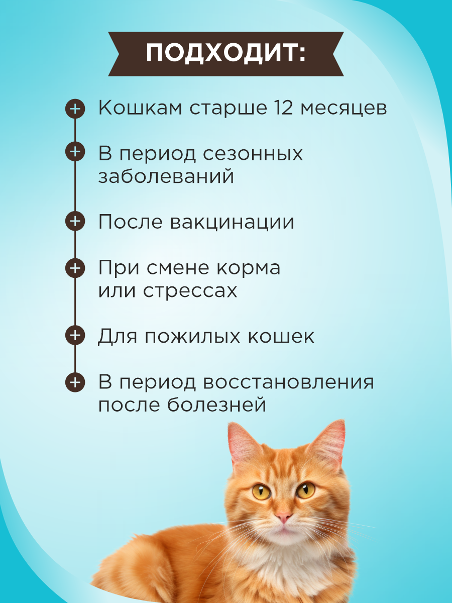 Полезное лакомство для кошек GOODR CAT Крепкий иммунитет с ламинарией 90 таб. - фото 2