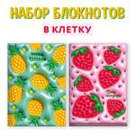 Блокнот Проф-Пресс 2 шт в клетку А5 Тренд тетрадь 40 лист.