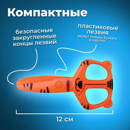 Ножницы канцелярские Пифагор