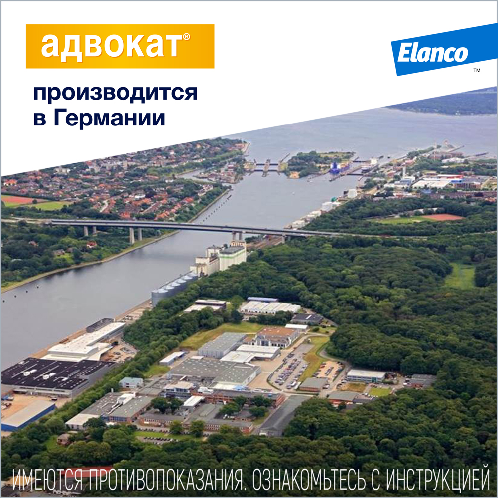 Капли для собак Elanco Адвокат более 25кг антипаразитарные 1пипетка - фото 8