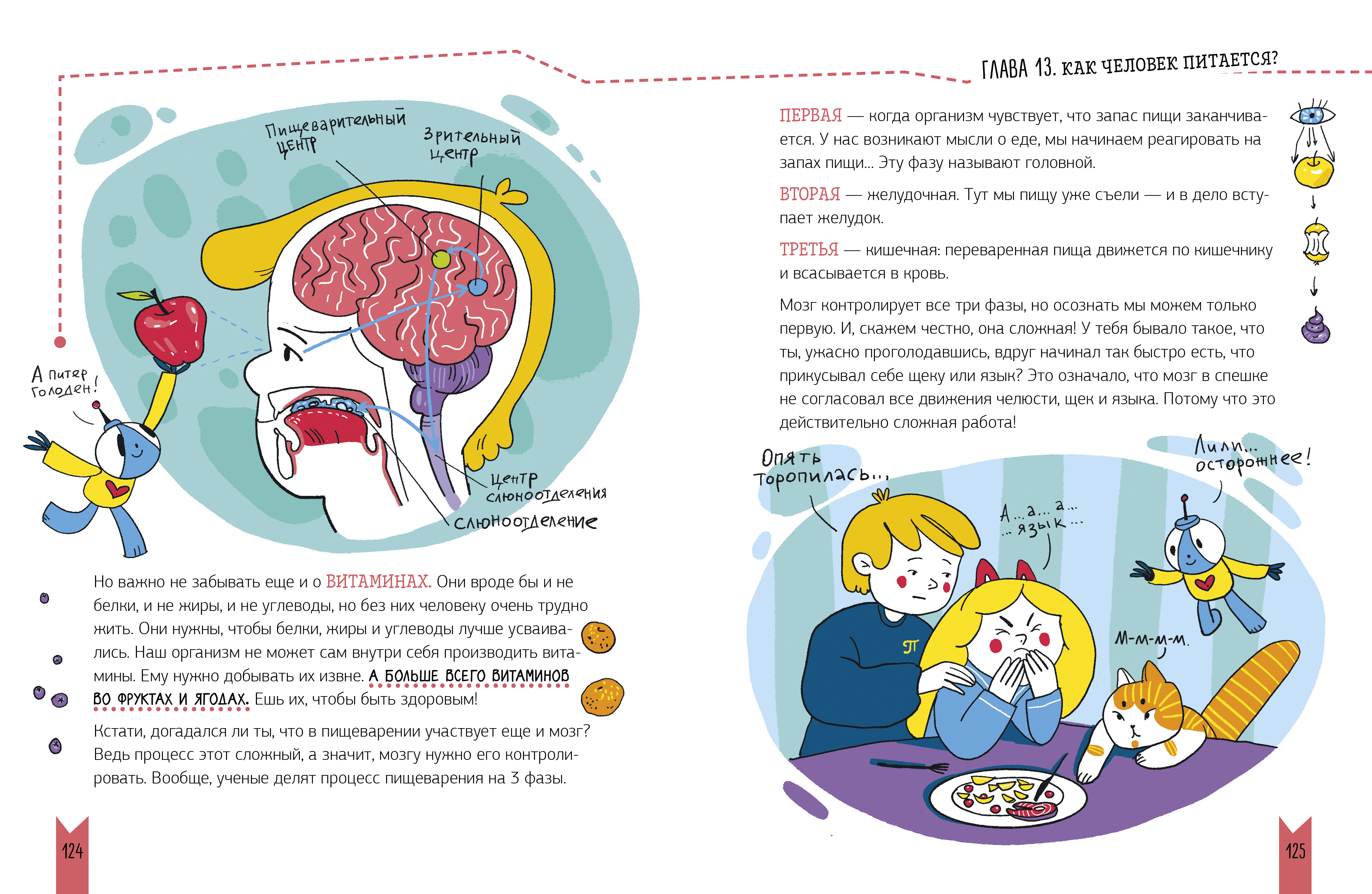 Этому в школе не научат! Clever Реальная биология. Как устроено тело человека - фото 4