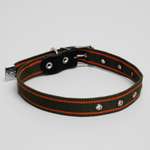 Ошейник Пижон брезентовый щенячий однослойный 67 х 3 см хаки/оранжевый