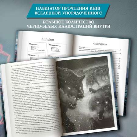 Книга Феникс Война мага Дебют серия Вселенная Упорядоченного Перумов Ник