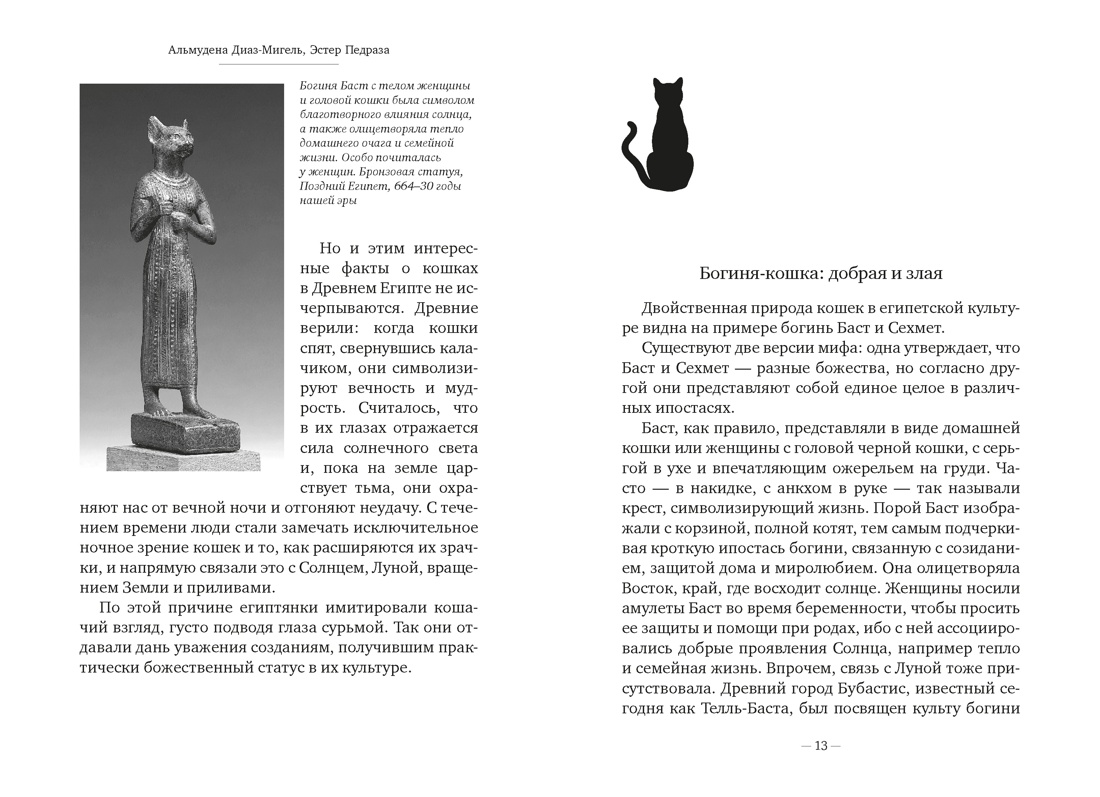 Книга АЗБУКА Диаз Мигель А Педраза Э Кошки правят миром - фото 15