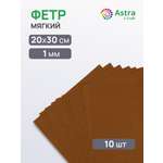 Фетр Astra Craft 10 лист.