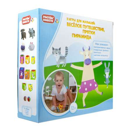Игрушка 1TOY сортер
