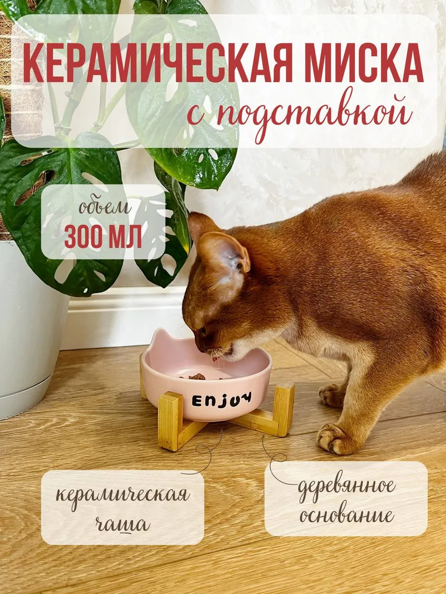 Миска для кошек и собак Qalla на подставке - фото 1