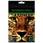Фломастеры Hatber 12 цв.