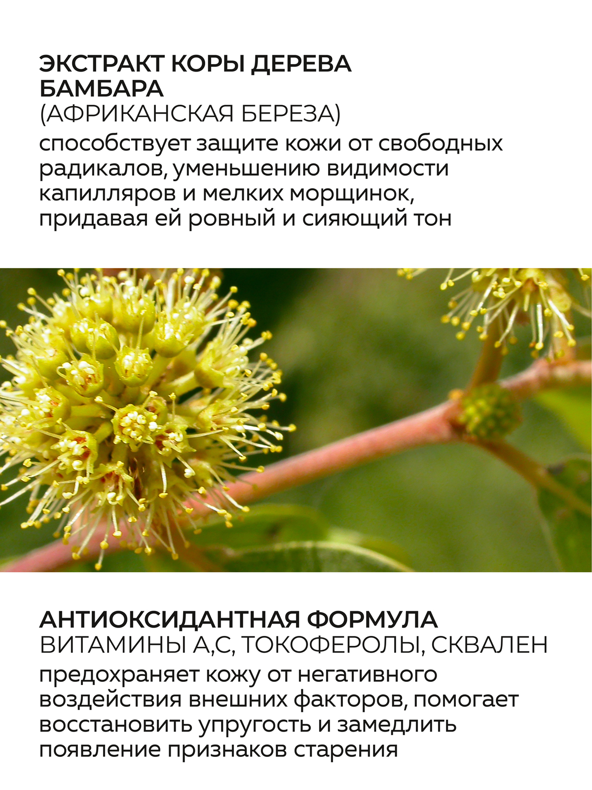 Крем Green Mama Экстракт бамбара 50 мл - фото 3