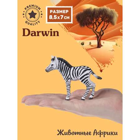 Фигурка DARWIN Животные Африки детёныш зебры