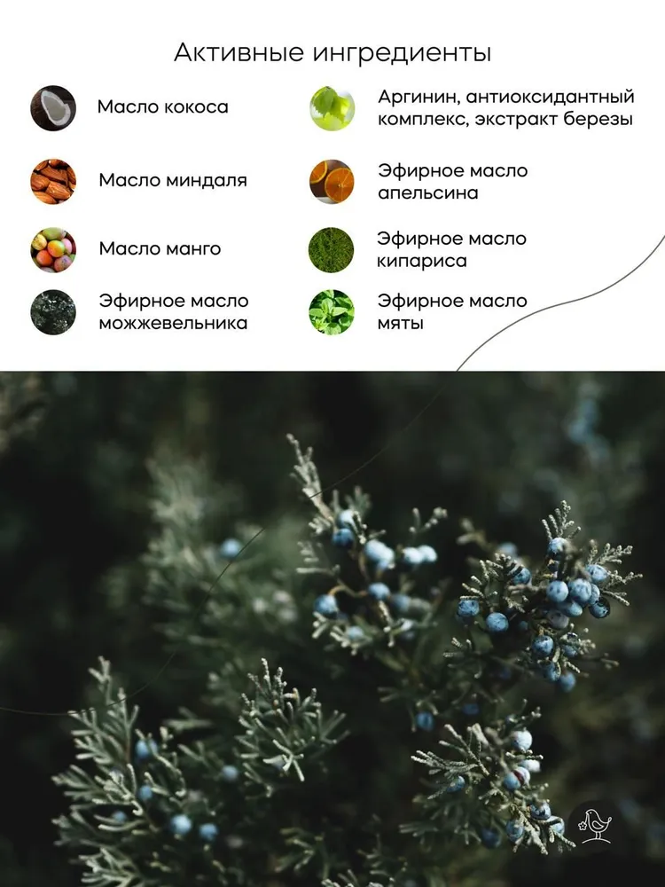 Крем Краснополянская косметика Кавказский лес 150 мл - фото 4