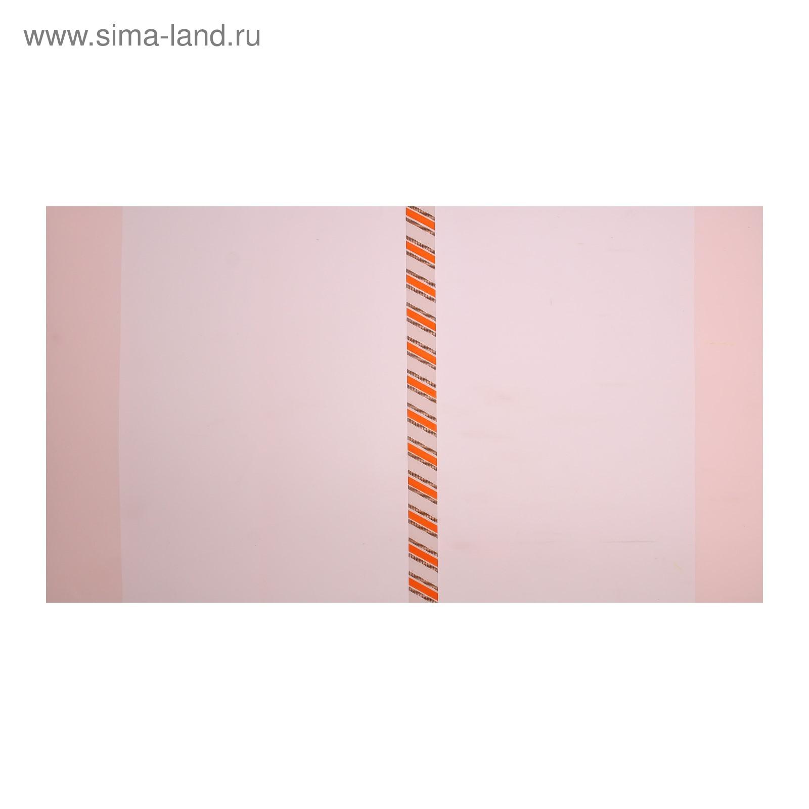 Обложка Calligrata - фото 7