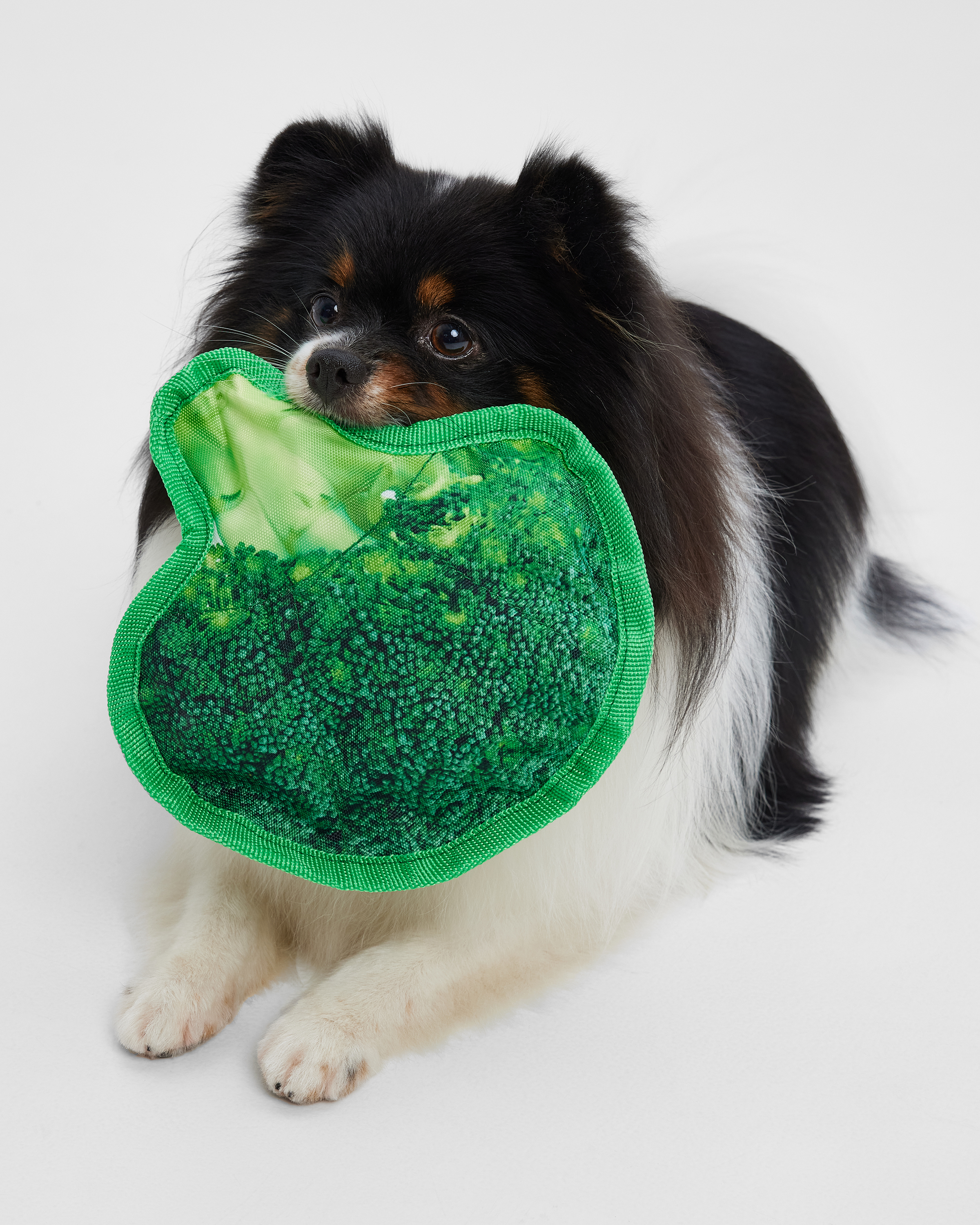 Игрушка для собак Barbaks Брокколи с пищалкой полиэстер 20см - фото 1