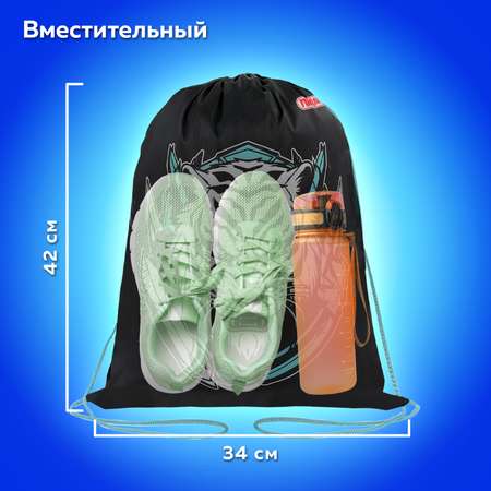 Мешок для обуви Пифагор