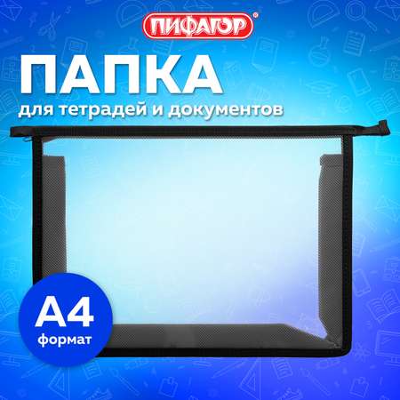 Папка для тетрадей Пифагор А4