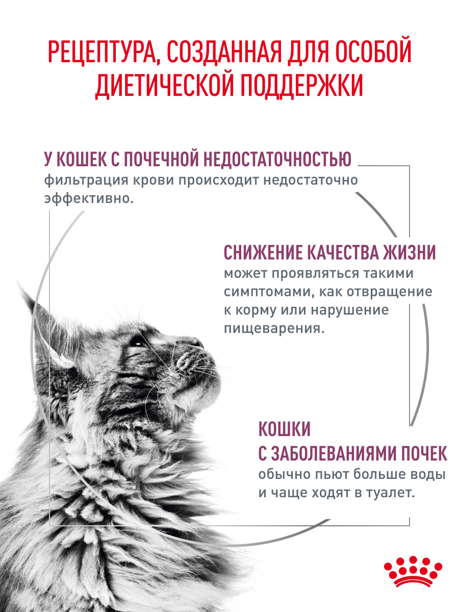 Корм для кошек ROYAL CANIN renal с рыбой 85г пауч - фото 2