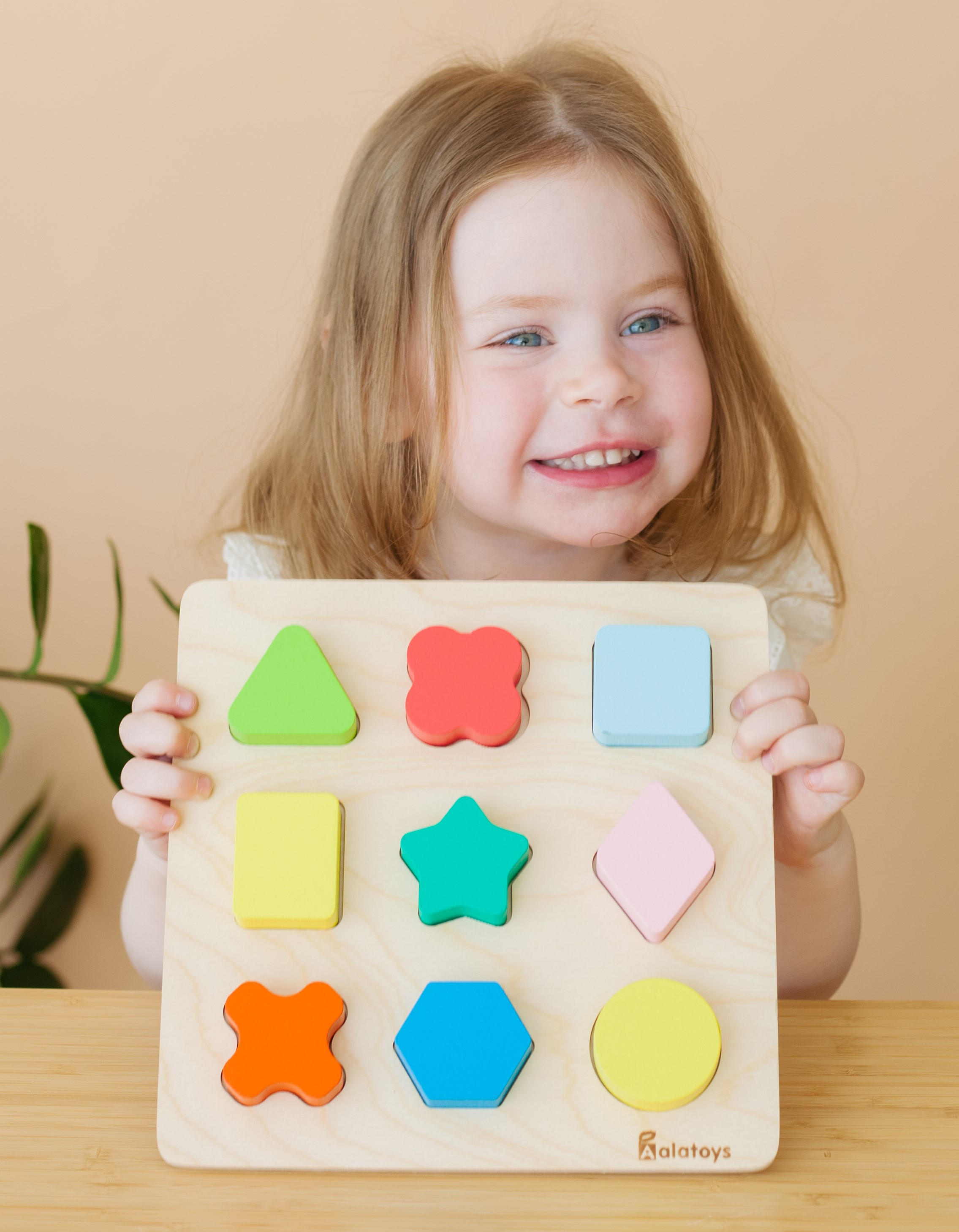 Игрушка Alatoys сортер - фото 8