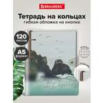 Тетрадь со сменным блоком Brauberg клетка 120 лист.