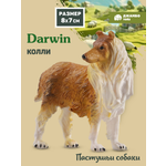Фигурка DARWIN Собака Колли