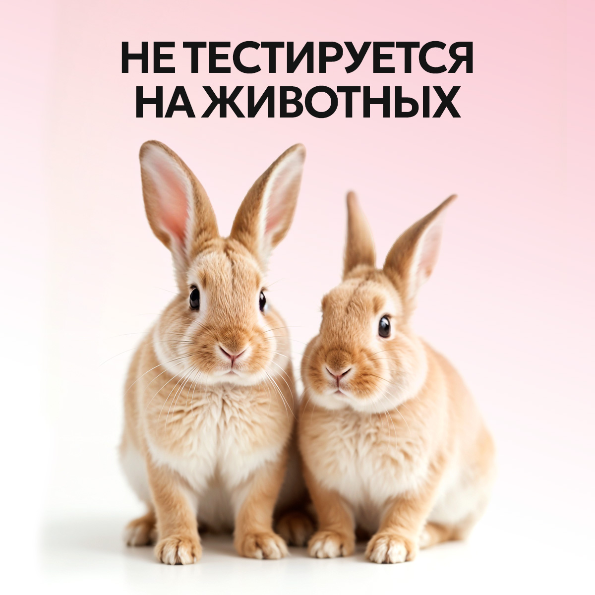 Гель NICE by Septivit Cherry Berry 5000 мл - фото 11