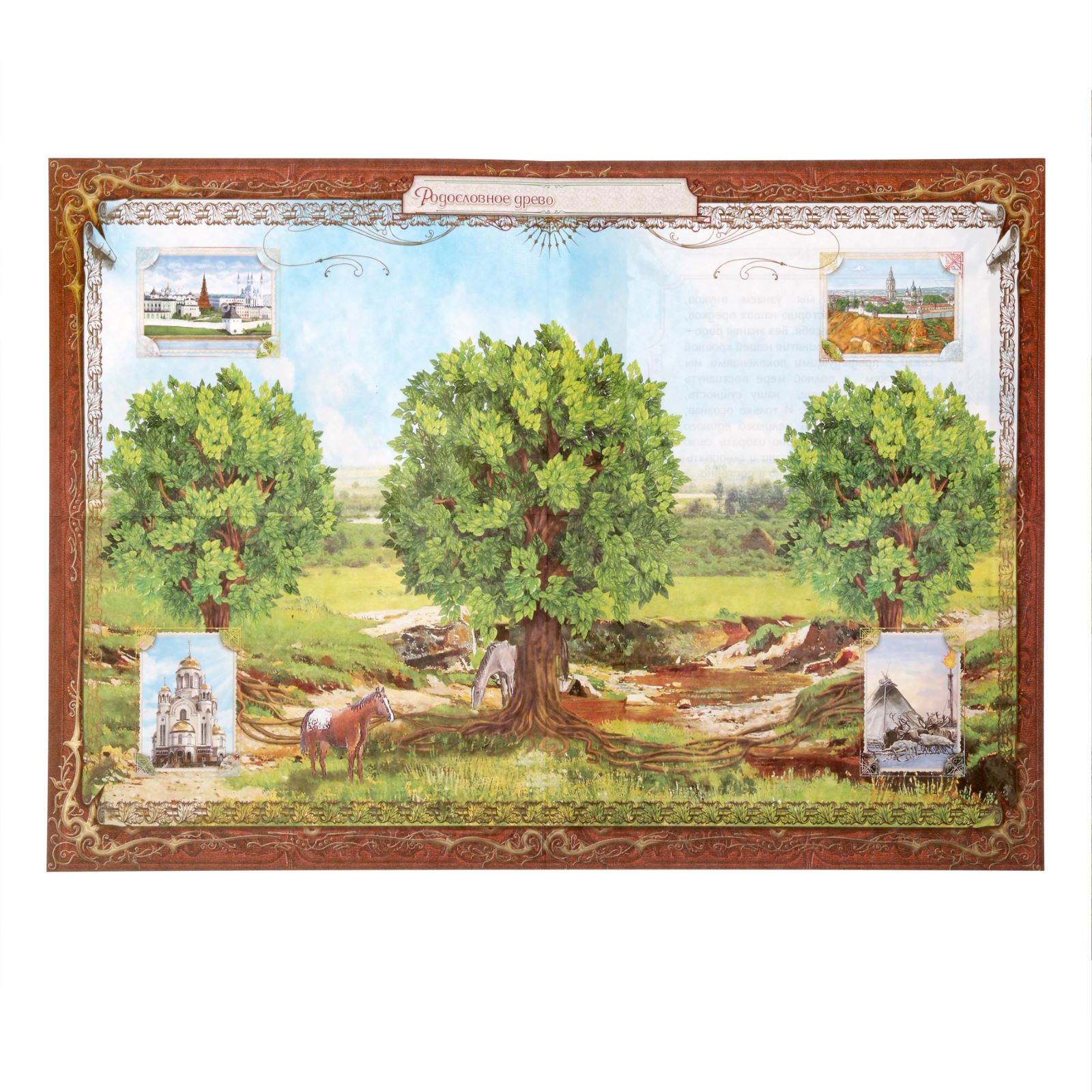 Родословная книга Sima-Land «Древо» 56 листов 16.5 х 24 см - фото 6