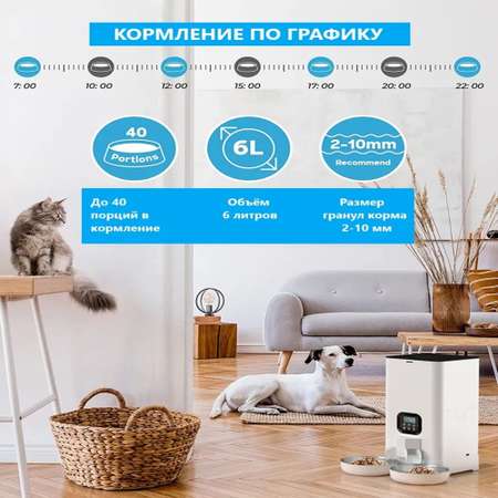 Кормушка ZDK Автоматическая с разделителем на две миски для кошек и собак