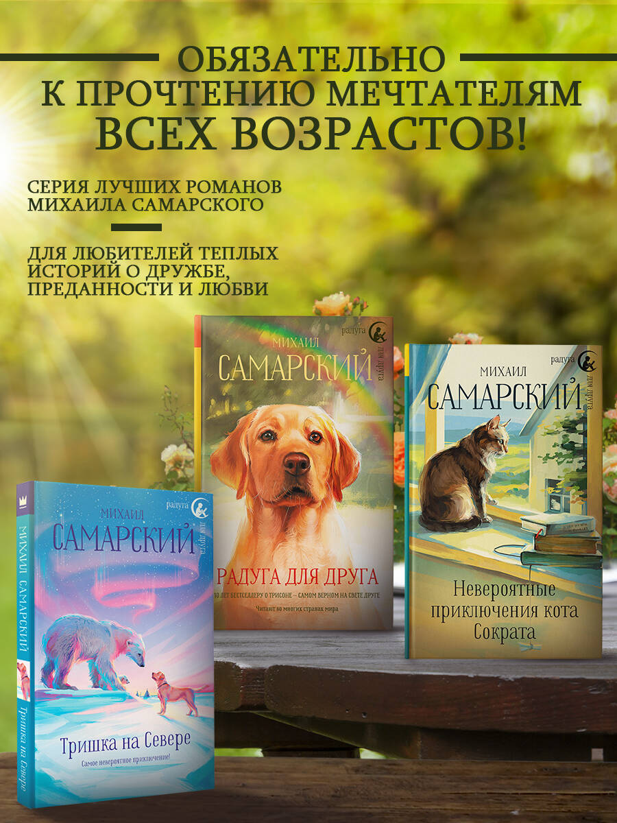 Книга АСТ Радуга для друга - фото 4