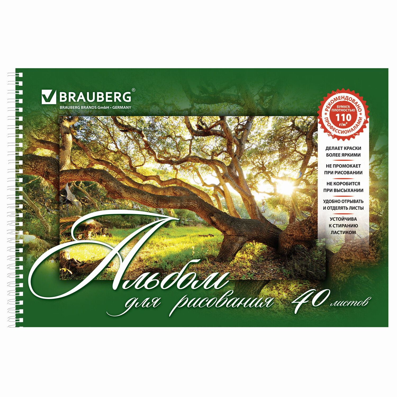 Альбом Brauberg А4 2 шт. - фото 8