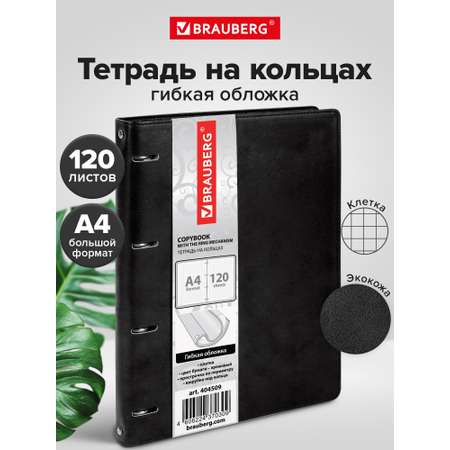 Тетрадь со сменным блоком Brauberg клетка 120 лист.