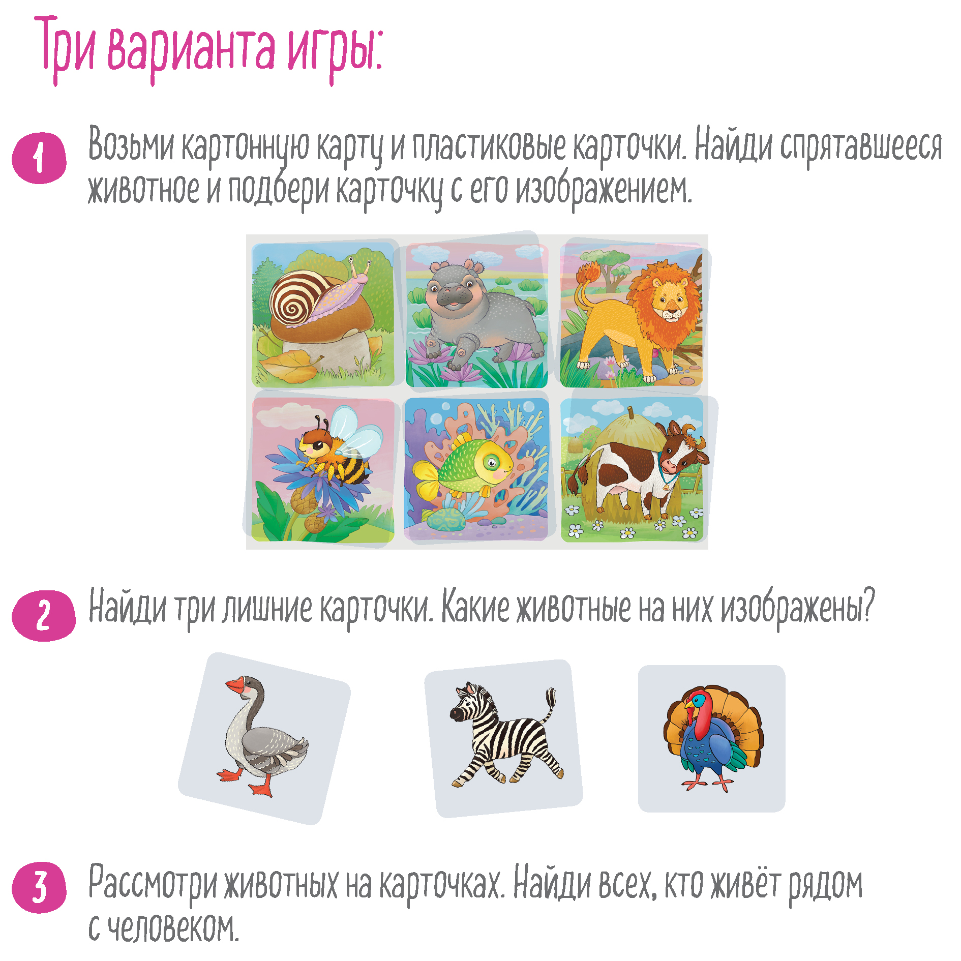 Настольная игра АЙРИС-пресс - фото 9