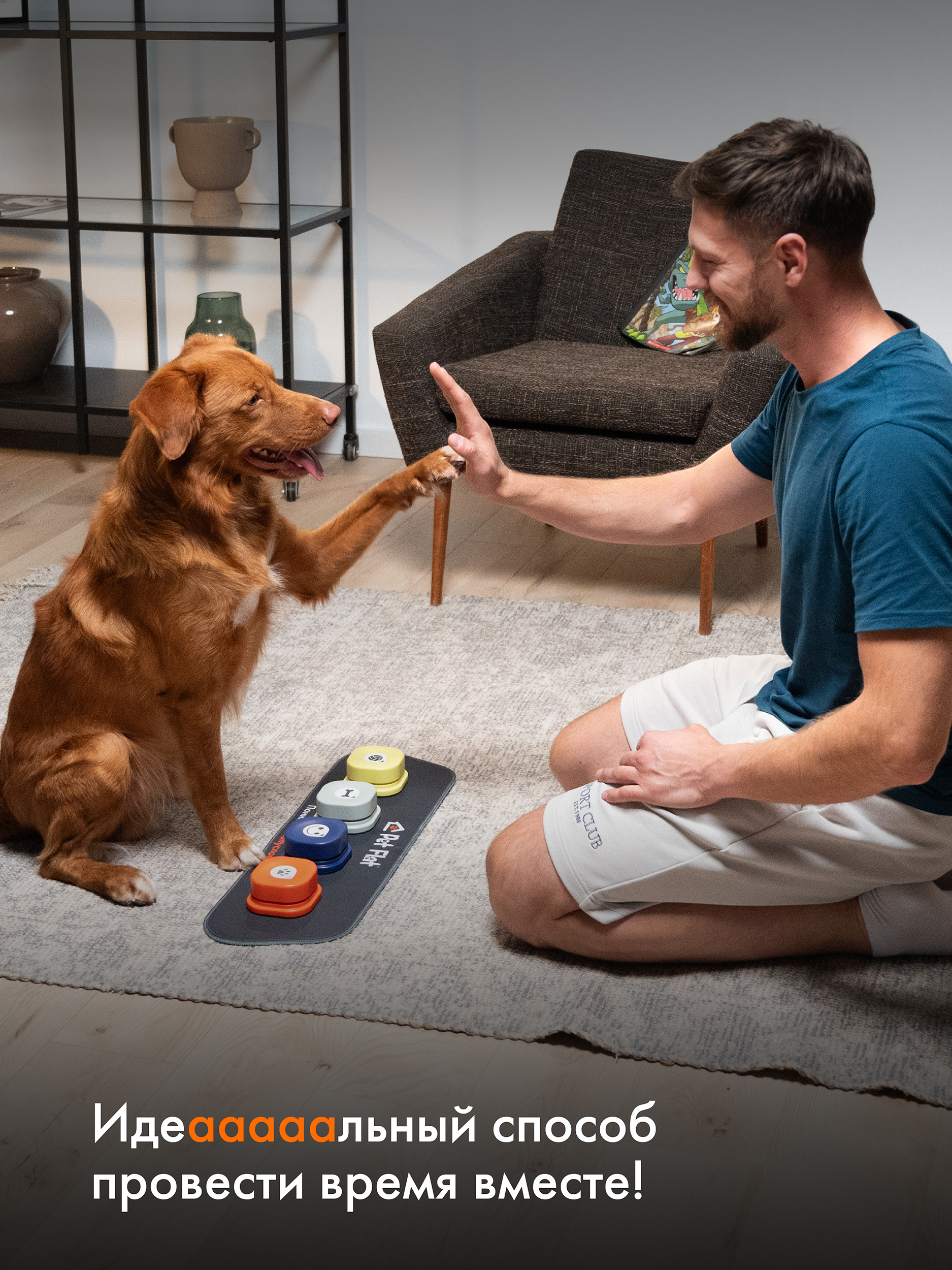 Интерактивная панель Pet Flat Собачья игрушка со звуковыми кнопками - фото 4