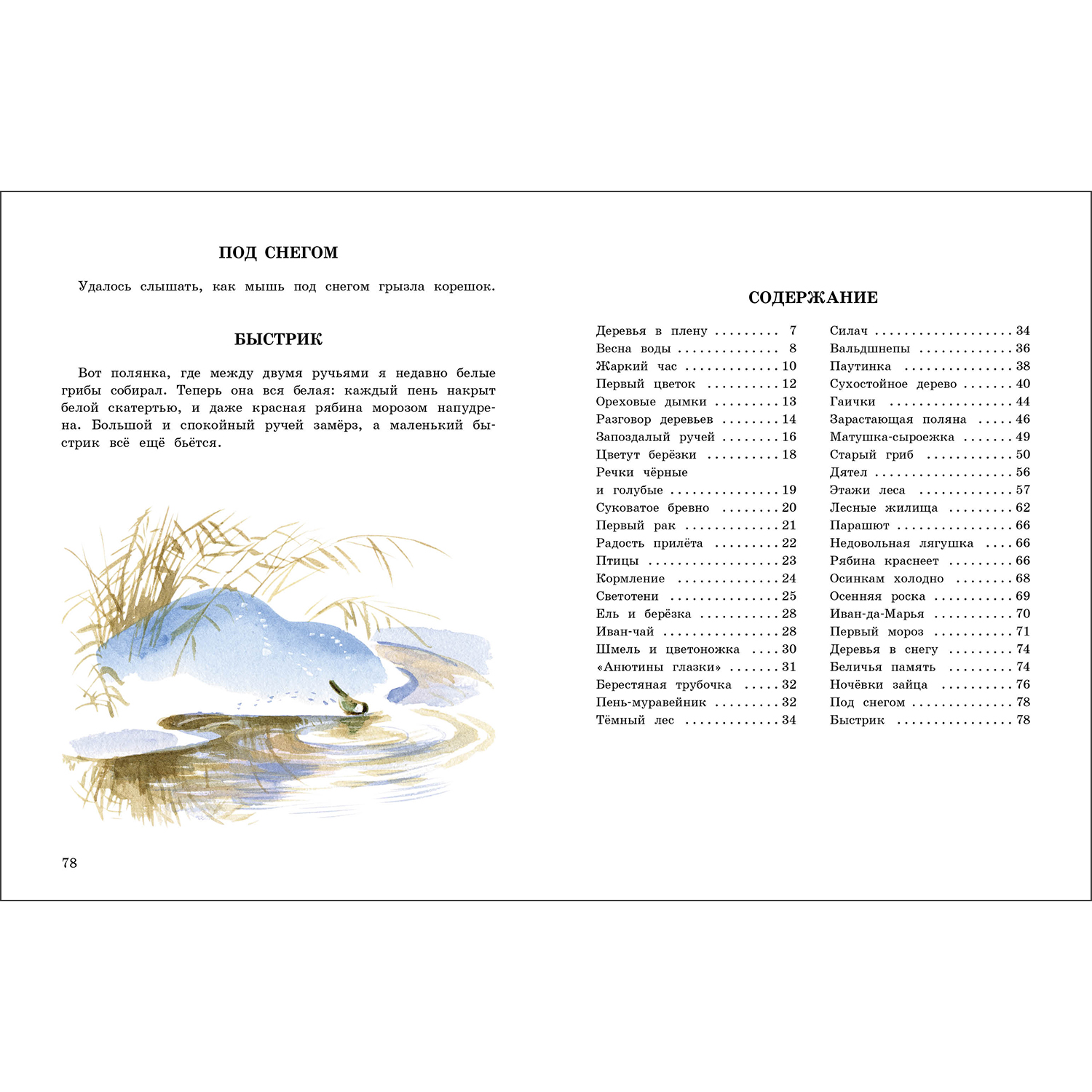 Книга СТРЕКОЗА Рассказы - фото 5