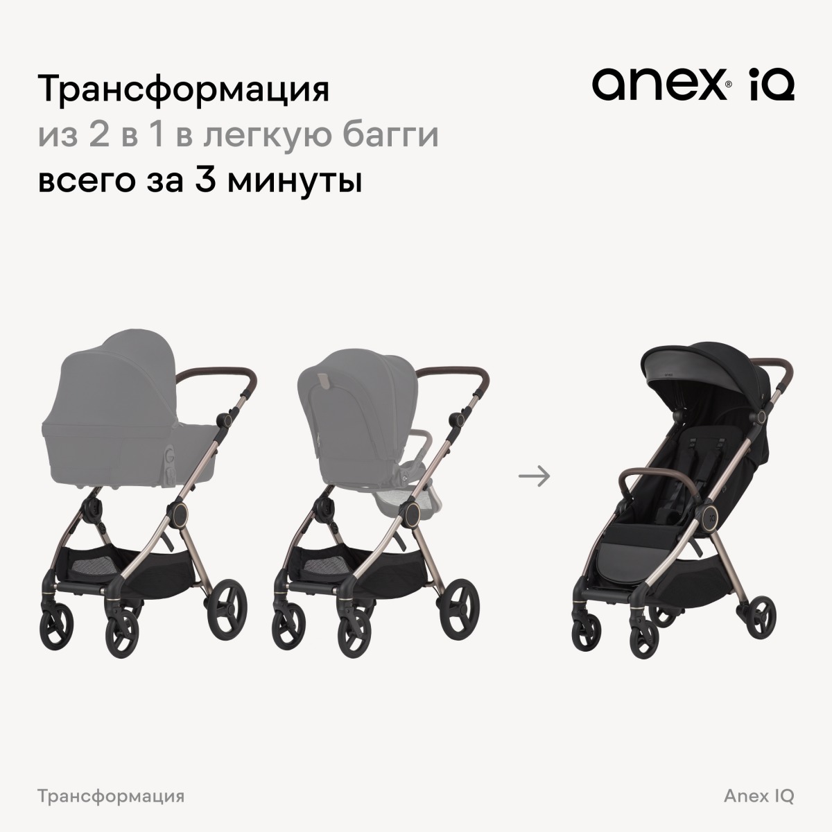 Коляска 2в1 Anex IQ Premium черный - фото 2