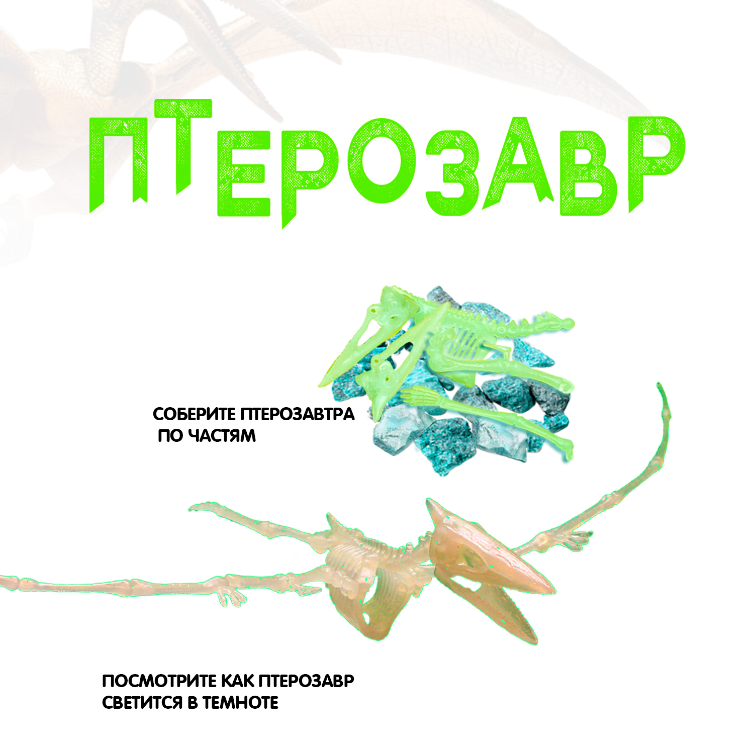 Набор для раскопок Bondibon - фото 6
