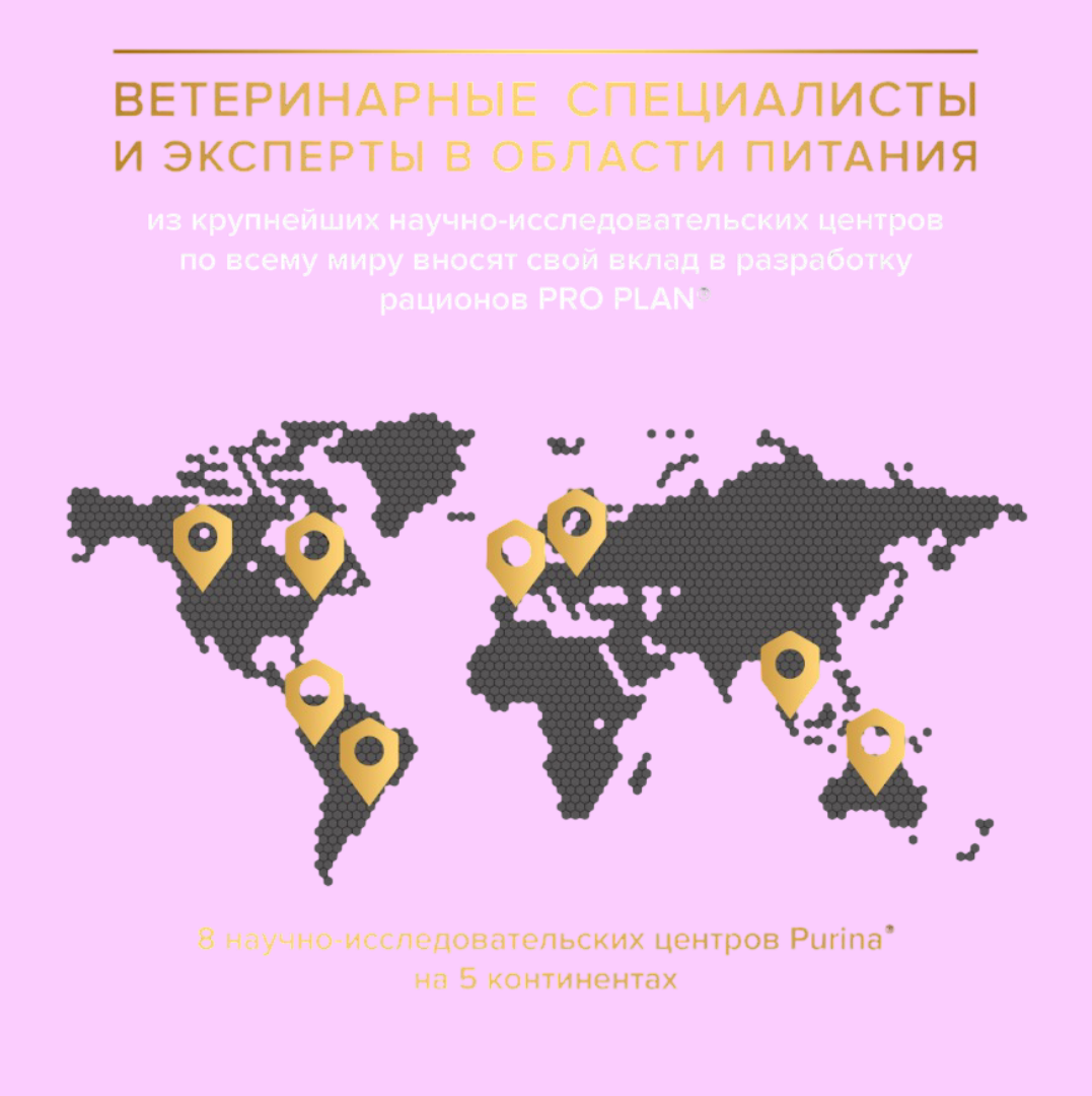 Сухой корм PRO PLAN OptiStart Original Kitten - фото 7