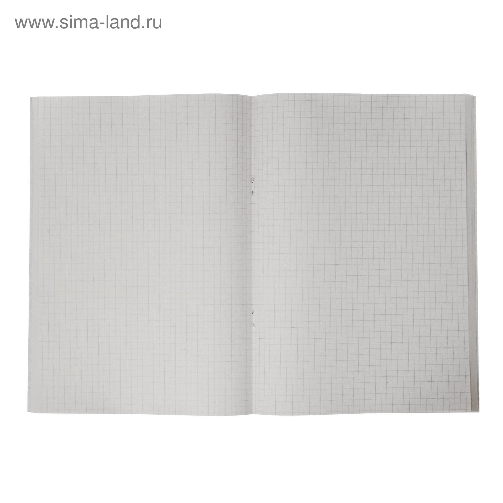 Тетрадь Calligrata клетка - фото 2
