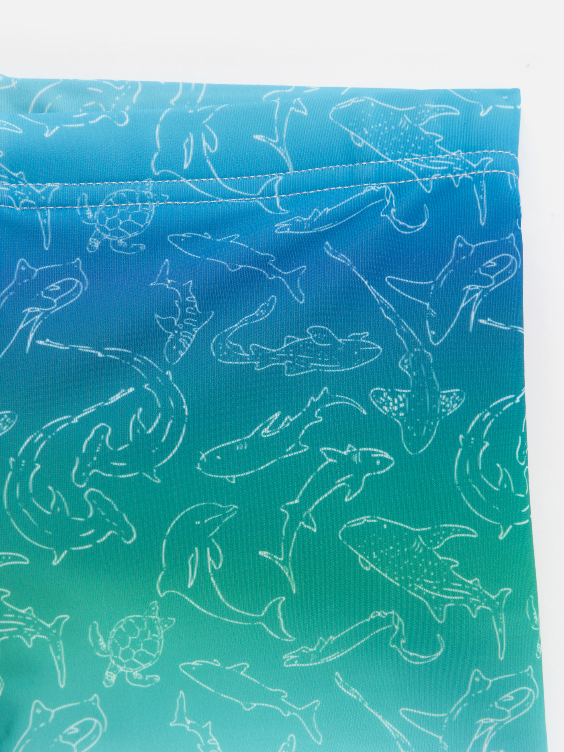 Плавки Acoola 20124730022_0095764 - фото 2