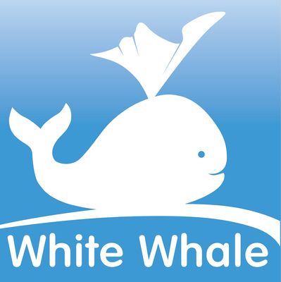White Whale