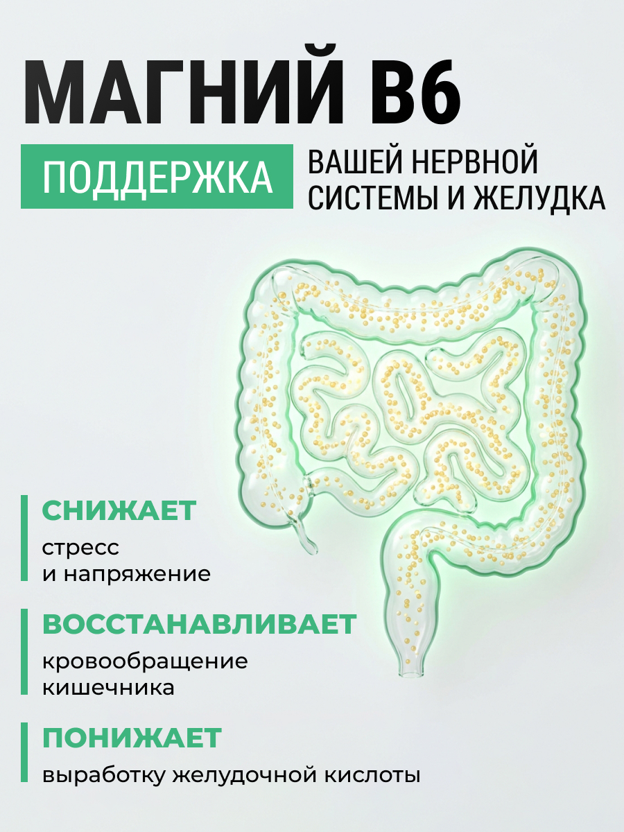 Комплекс Лактобактерий с Mg В5 В6 TONEON Биологическая активная добавка к пище - фото 6