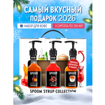 Набор сиропов SPOOM Кленовый Острый Крем-брюле для коктейлей чая и кофе 3шт 250мл + 3 дозатора