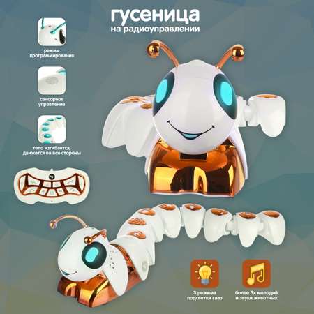 Насекомое РУ Veld Co