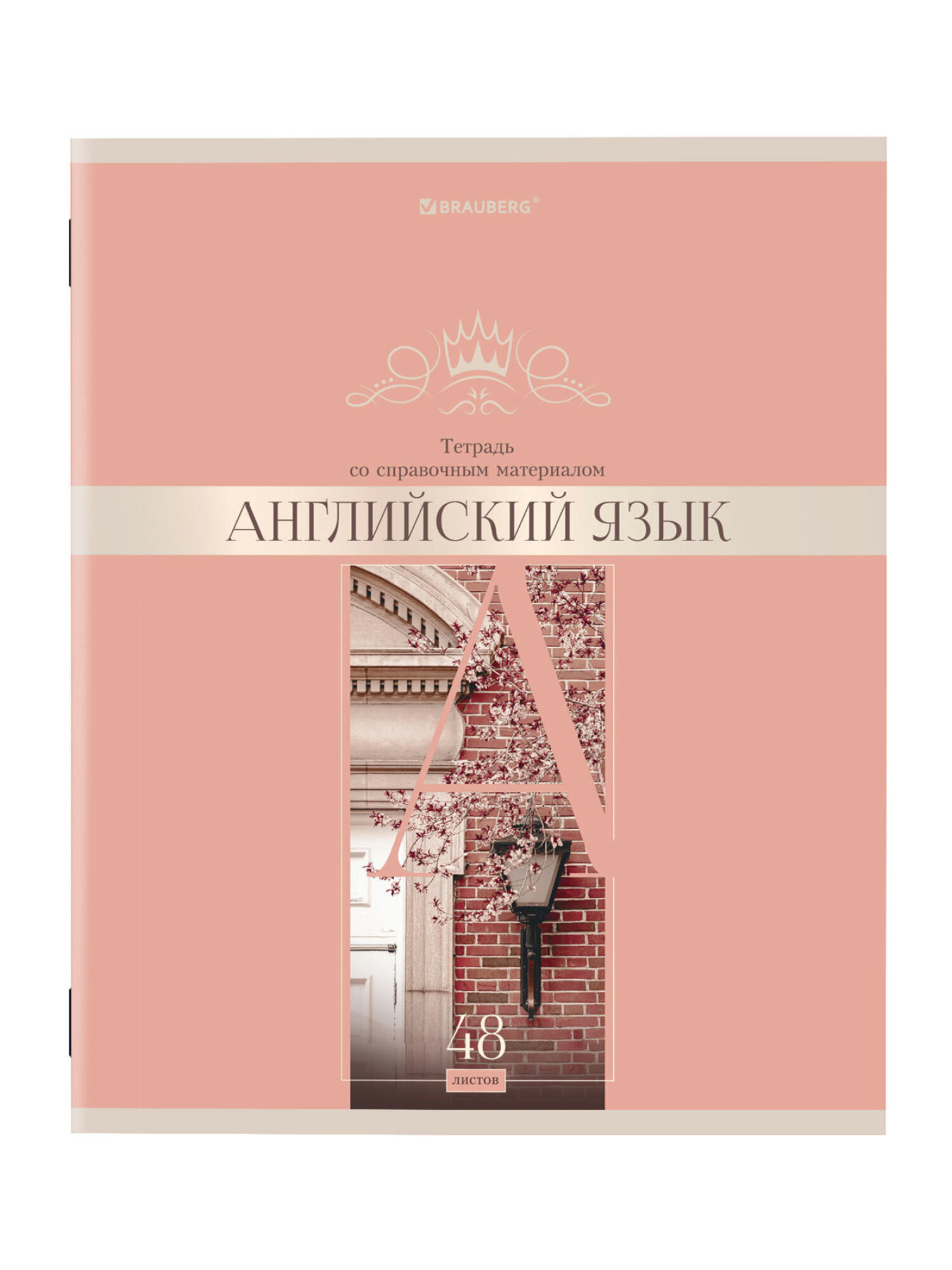 Тетрадь Brauberg 48 лист. 12 шт. - фото 21