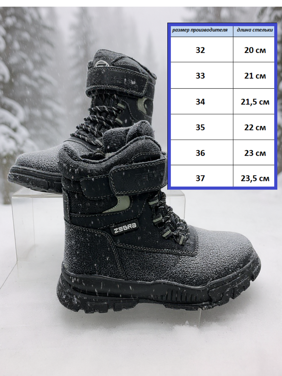Ботинки Зебра 25221-101-1 - фото 3