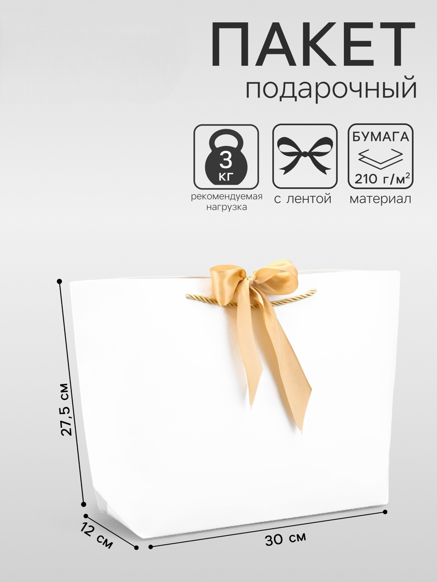 Пакет UPAK LAND подарочный с лентой белый - фото 1
