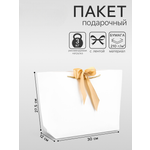 Пакет UPAK LAND подарочный с лентой белый