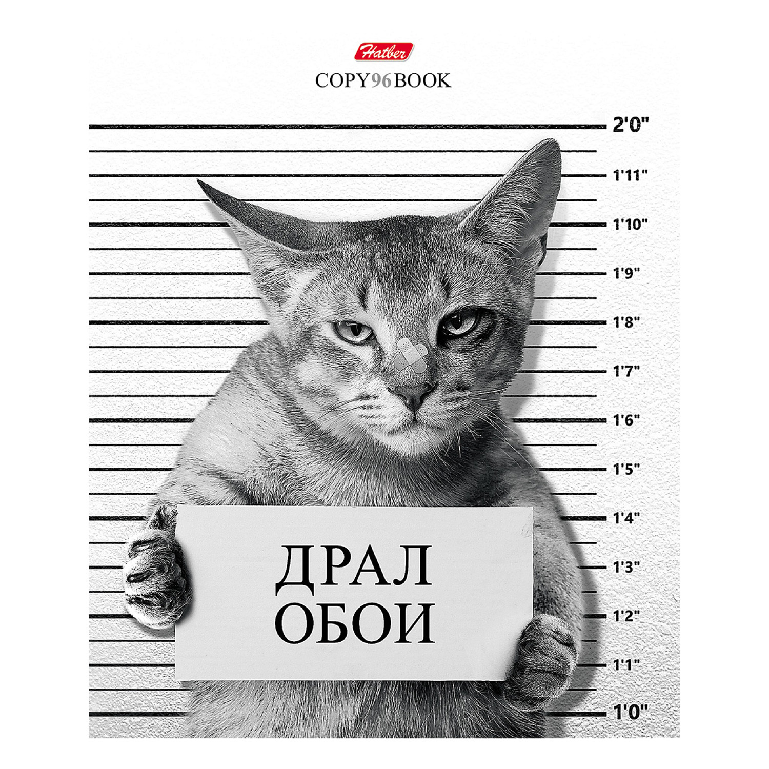 Общая тетрадь Hatber клетка 96 лист. в ассортименте - фото 3