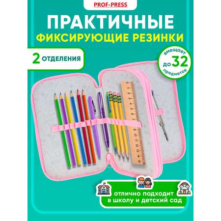 Пенал книжка Prof-Press